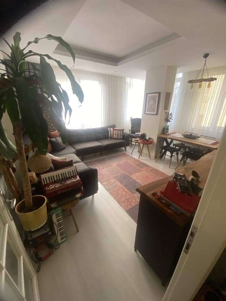 Düzenli bir ev arkadaşı arıyorum