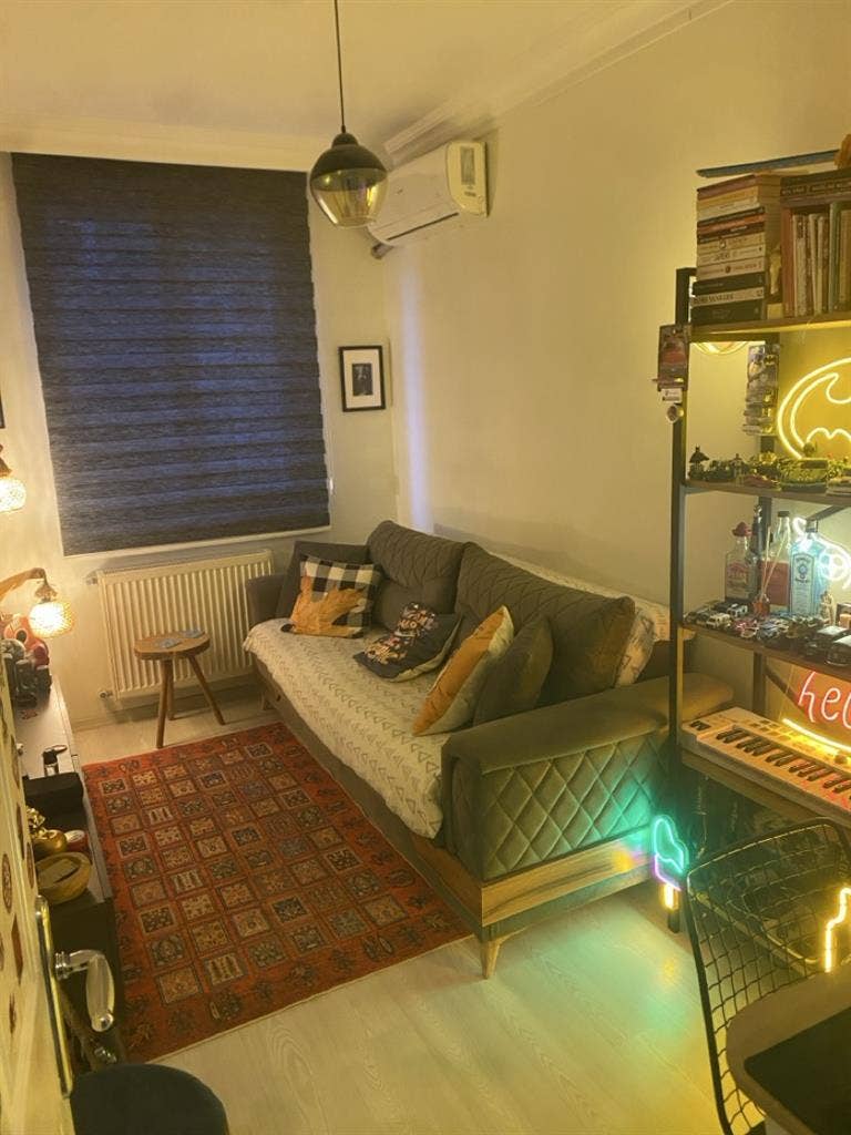 Düzenli bir ev arkadaşı arıyorum