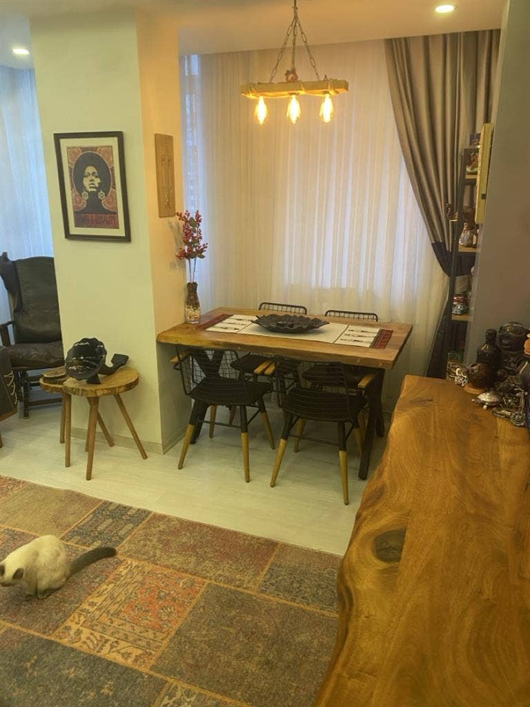 Düzenli bir ev arkadaşı arıyorum