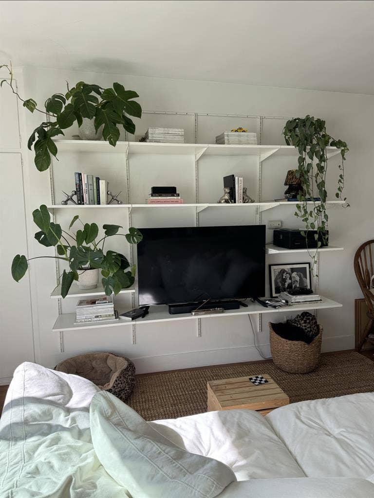 Mid-City room for rent