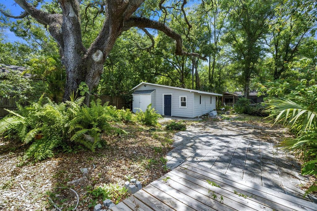 5 BR in Tampa