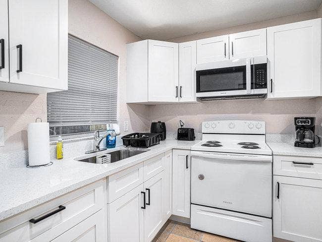 8 BR in Tampa
