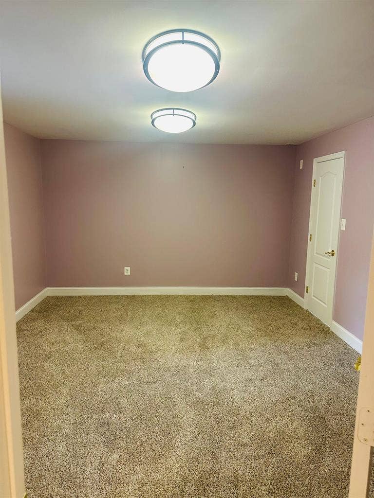 Newly renovated walkout basement