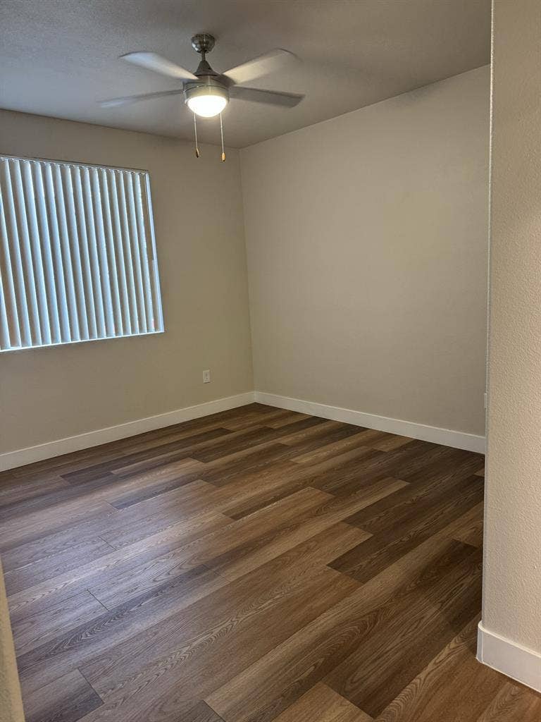 Roommate Needed