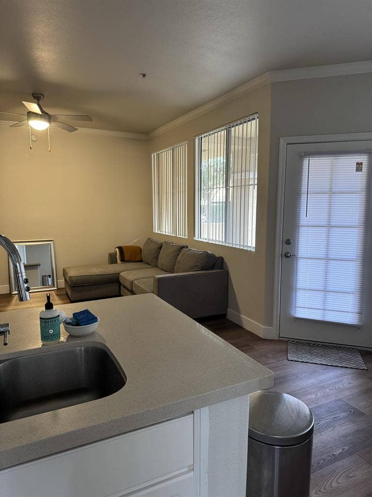 Roommate Needed