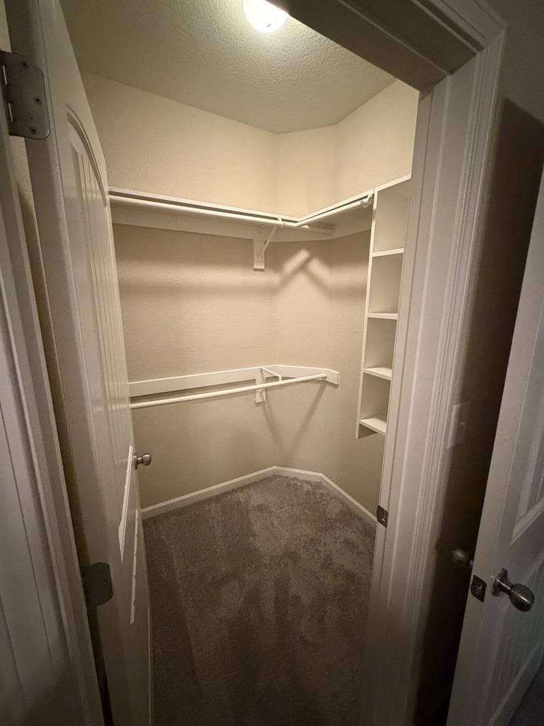 MOVE-IN READY ROOM NEAR UGA CAMPUS