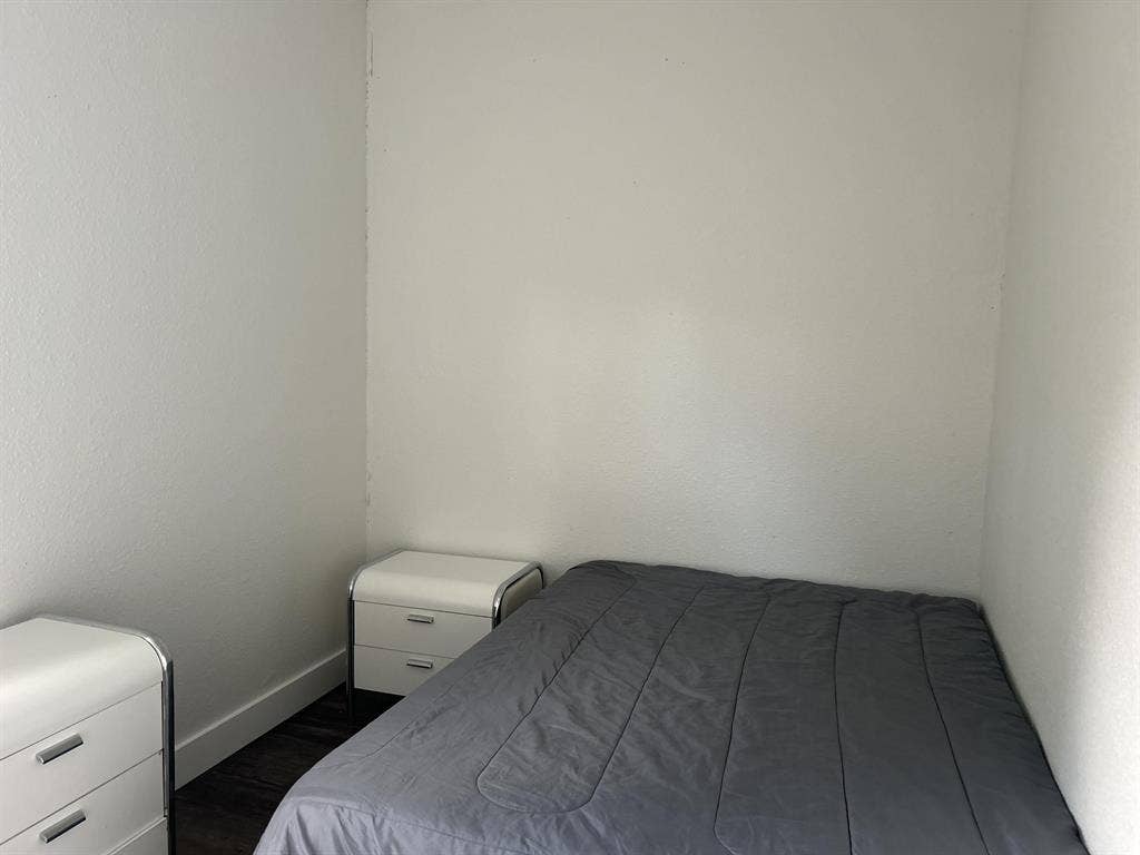 7 BR in Tampa
