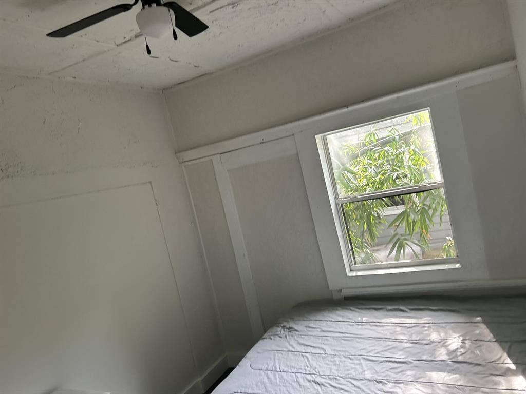 7 BR in Tampa