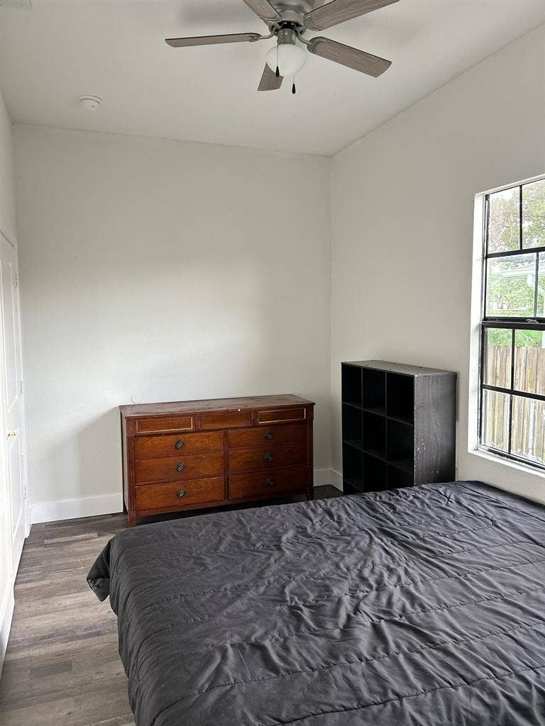 7 BR in Tampa