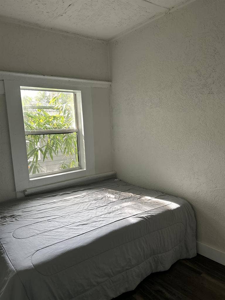 7 BR in Tampa