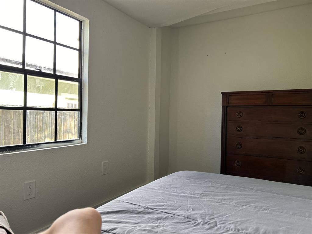 7 BR in Tampa