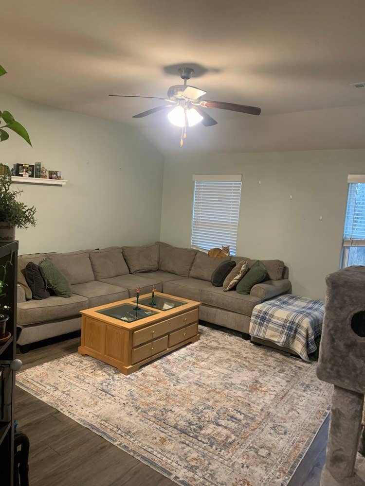 Roommate wanted