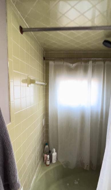 ROOM IN AN ALL FEMALE APARTMENT