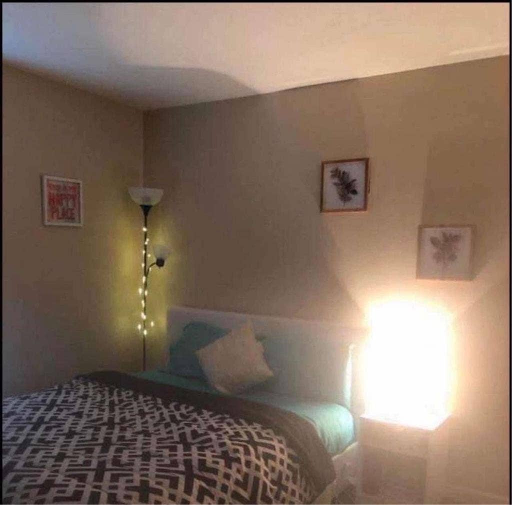 Roommate needed from March