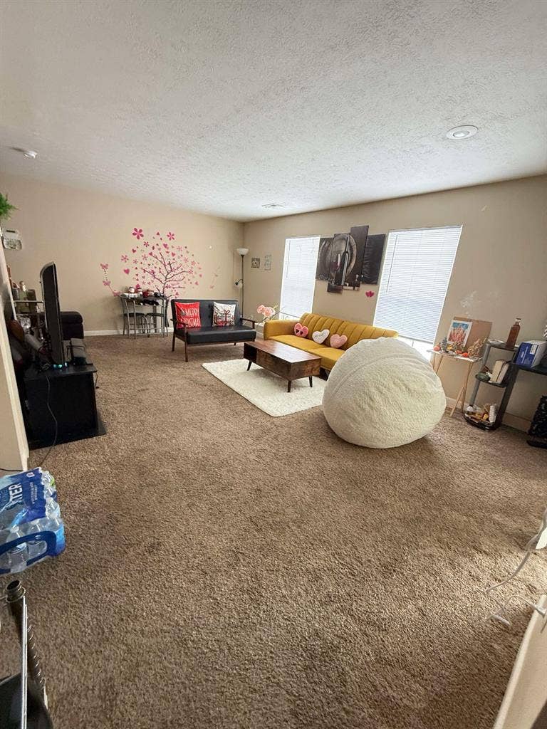 Roommate needed from March