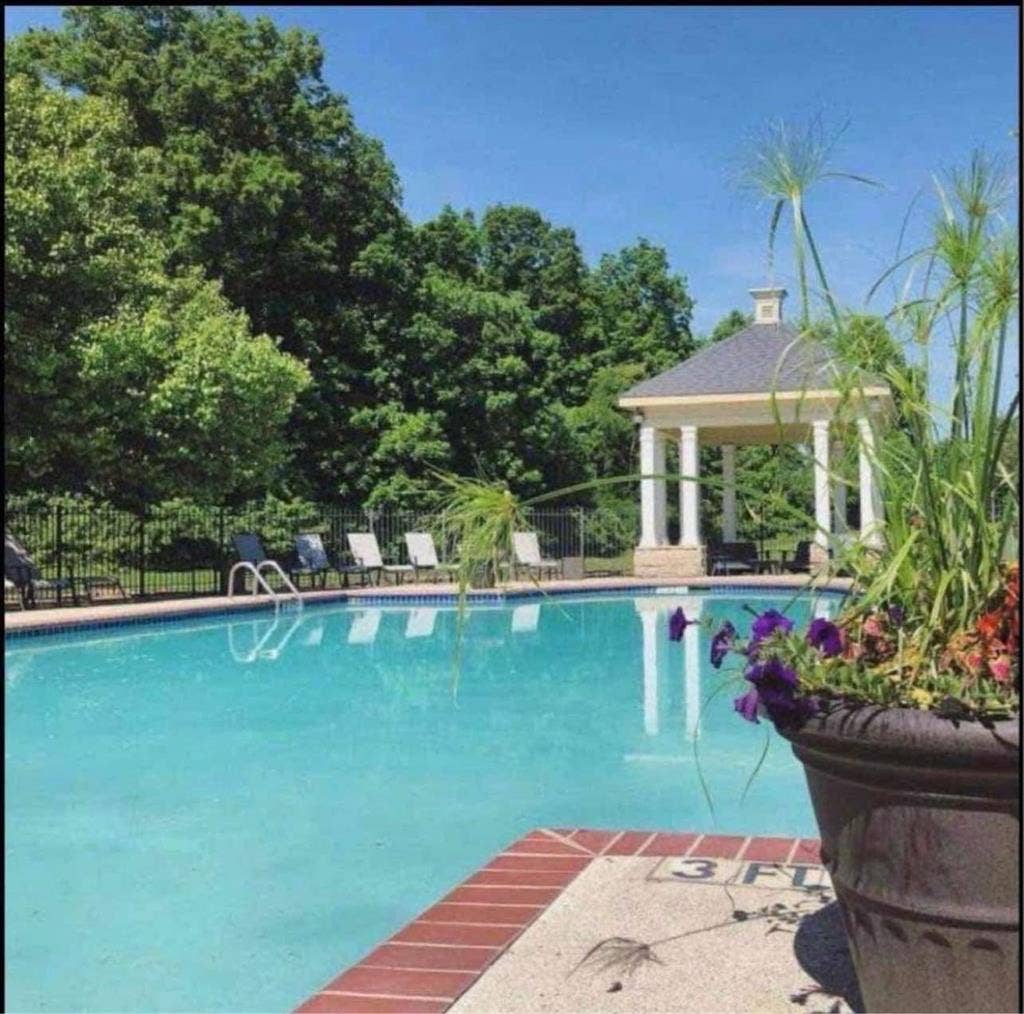 Roommate needed from March