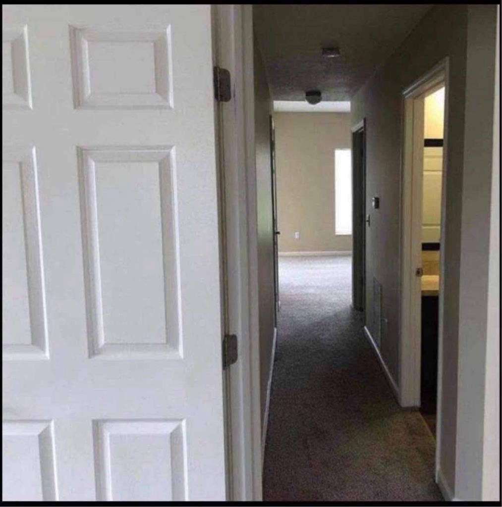 Roommate needed from March