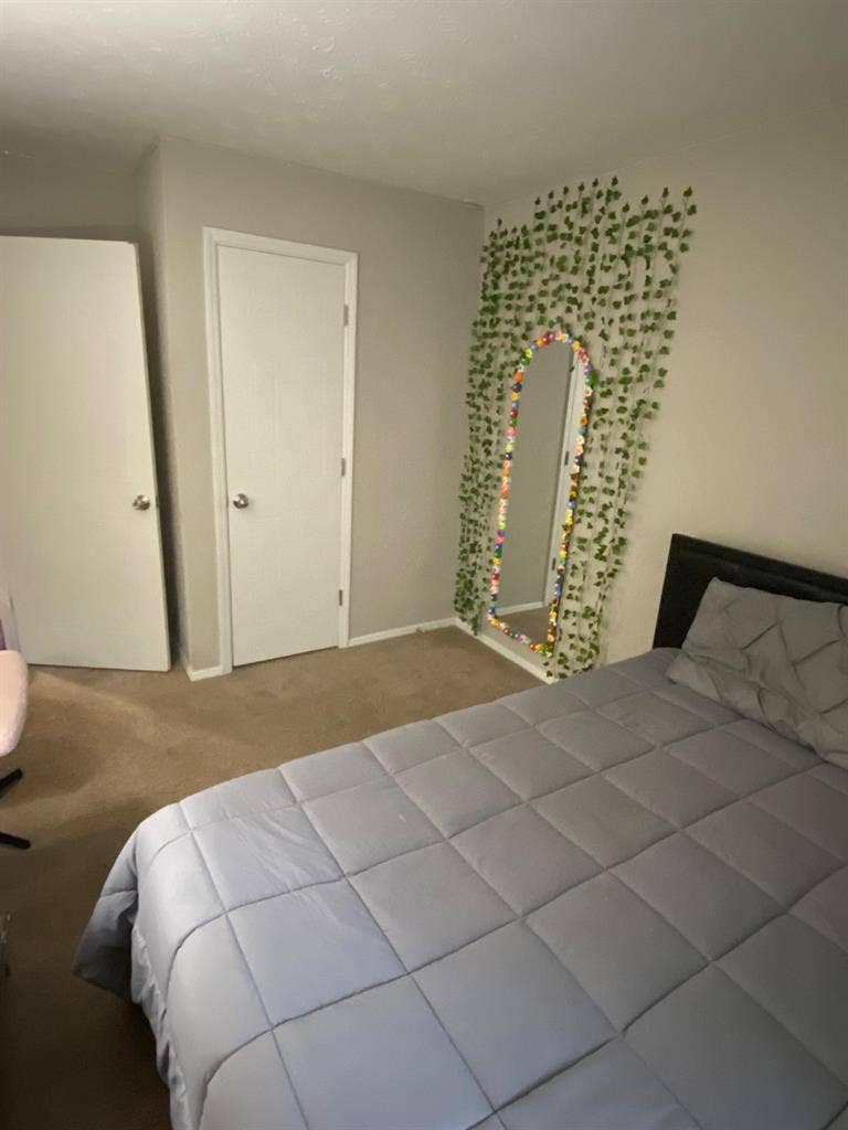 1 BR in Duluth