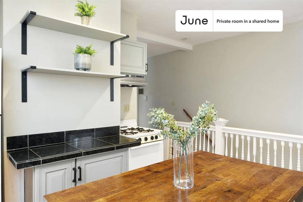 6 BR in Boston