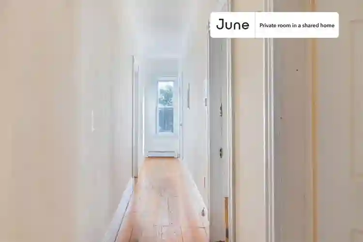 5 BR in Boston