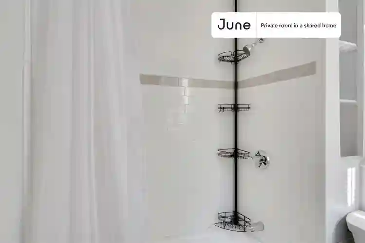 4 BR in Boston