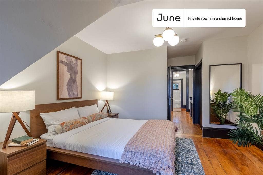 5 BR in Boston