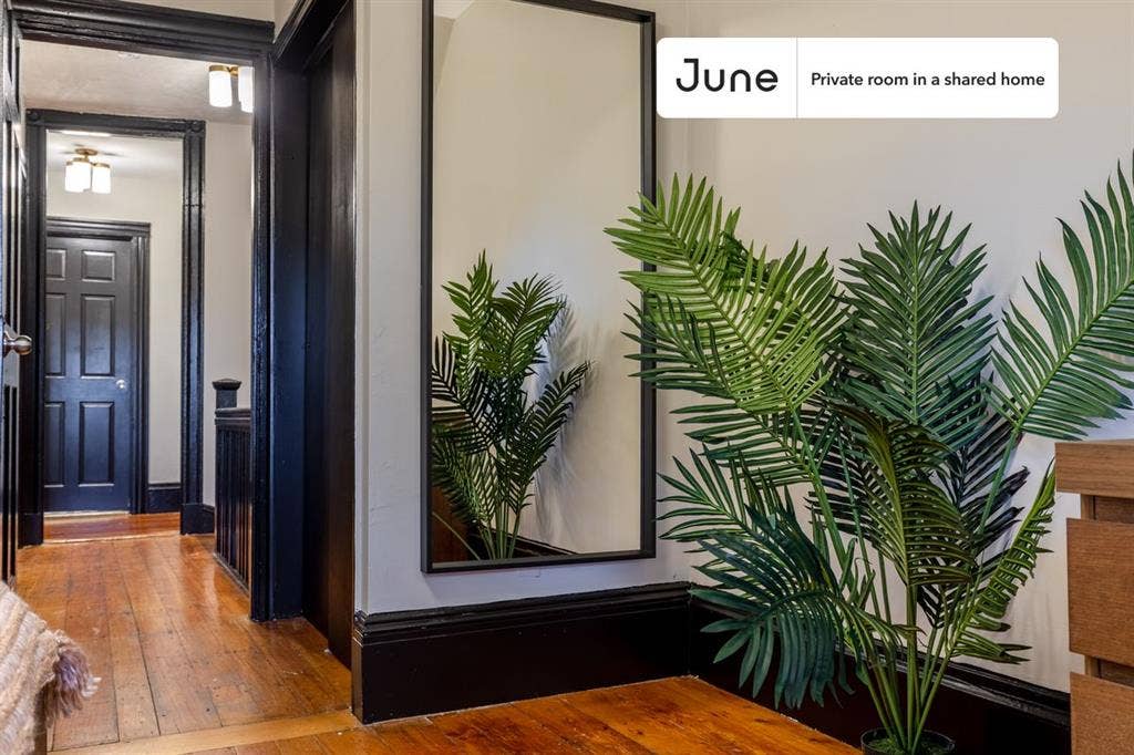 5 BR in Boston
