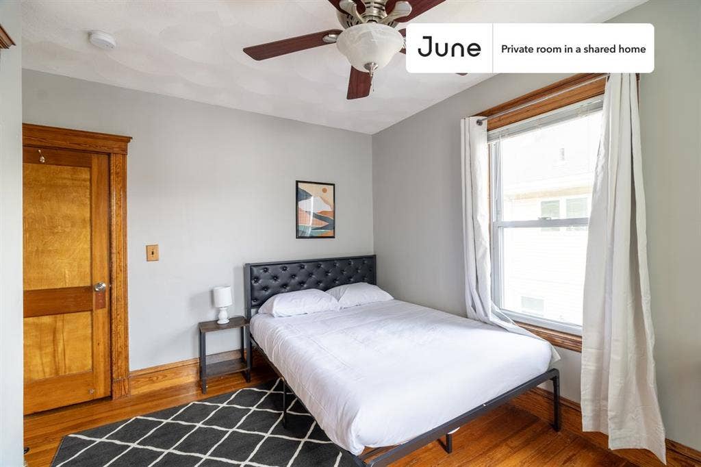 5 BR in Boston