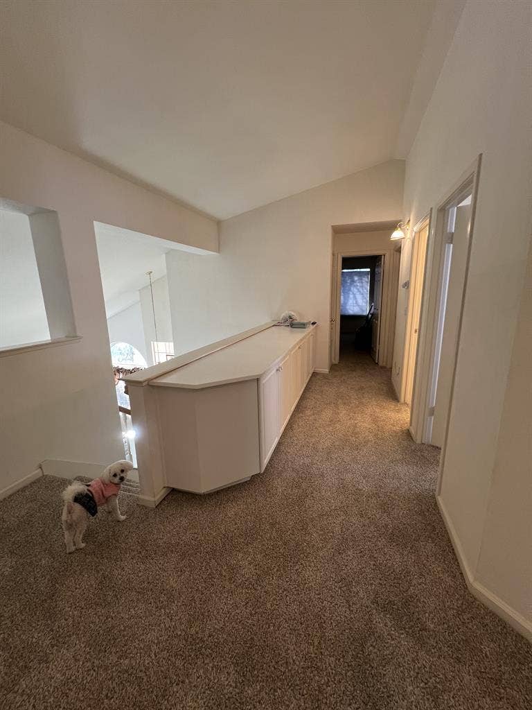 Private Room w/ Walk-in Closet