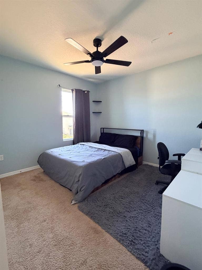 5 BR in Lakeland