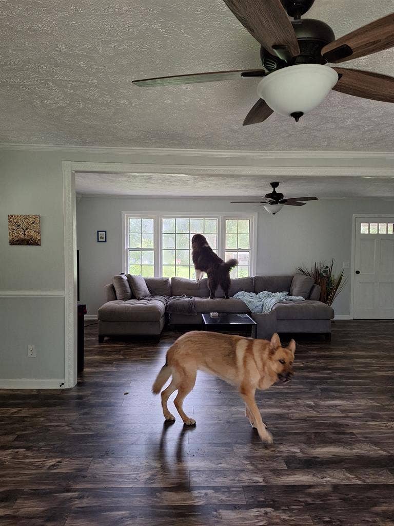 Sanford Room for Rent