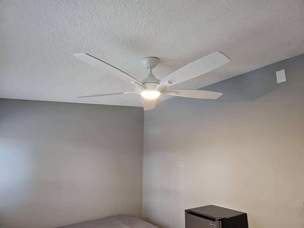 7 BR in Orange Park