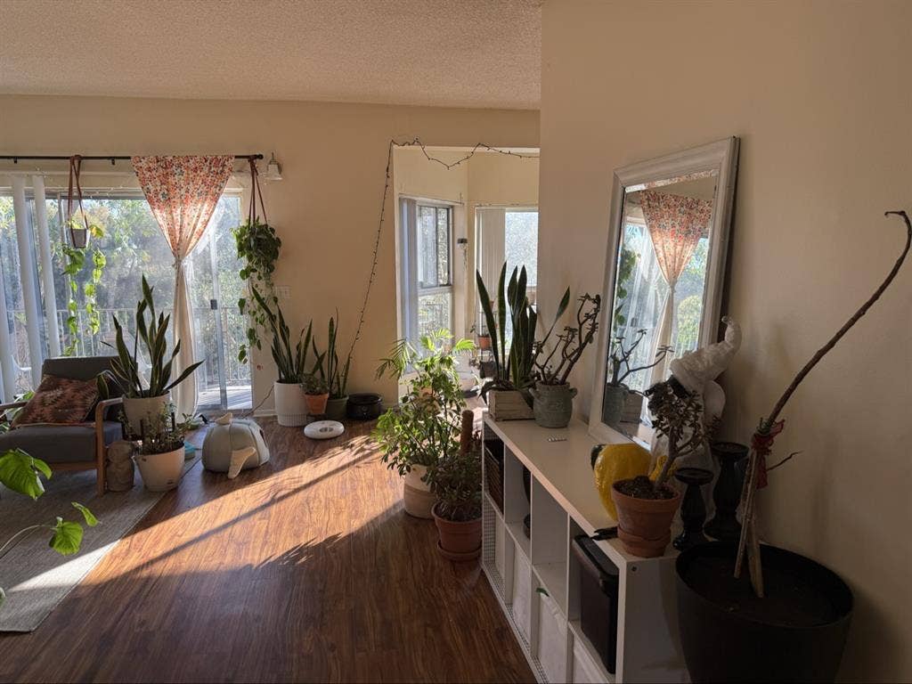 Room for Rent _Hillcrest