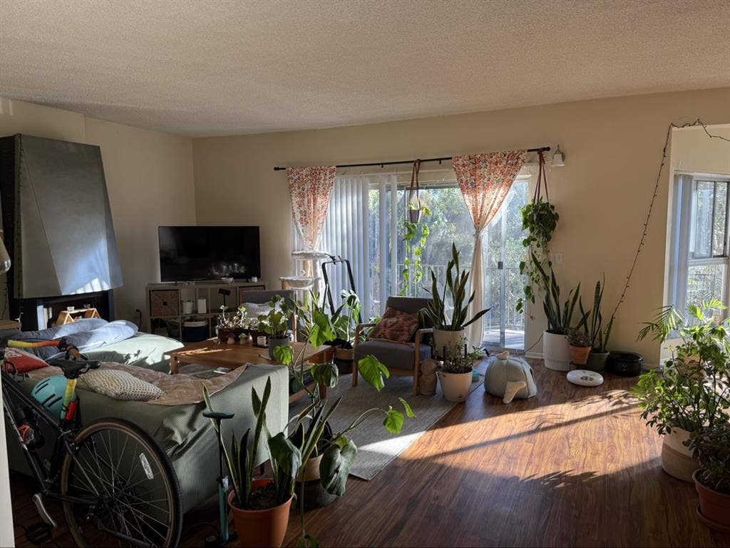 Room for Rent _Hillcrest