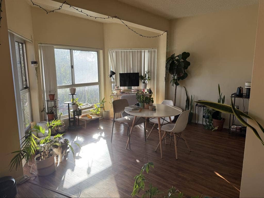 Room for Rent _Hillcrest