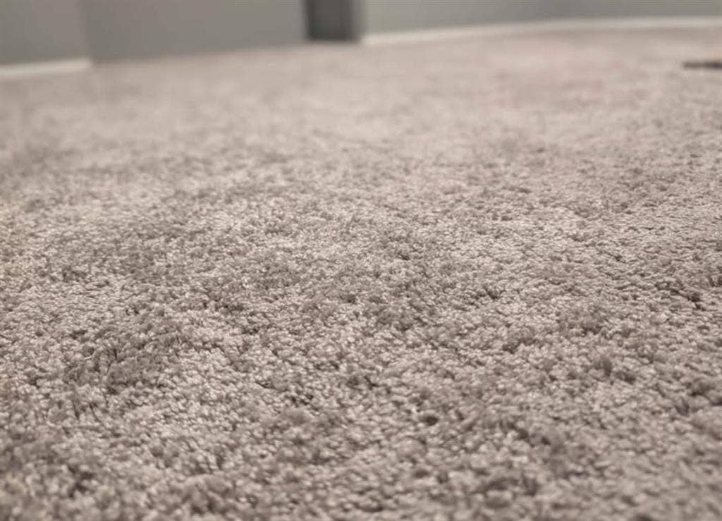 Weston Ranch New Carpet+ Paint