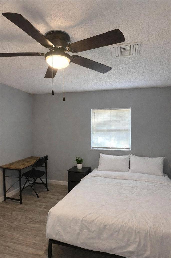 13 BR in Tampa