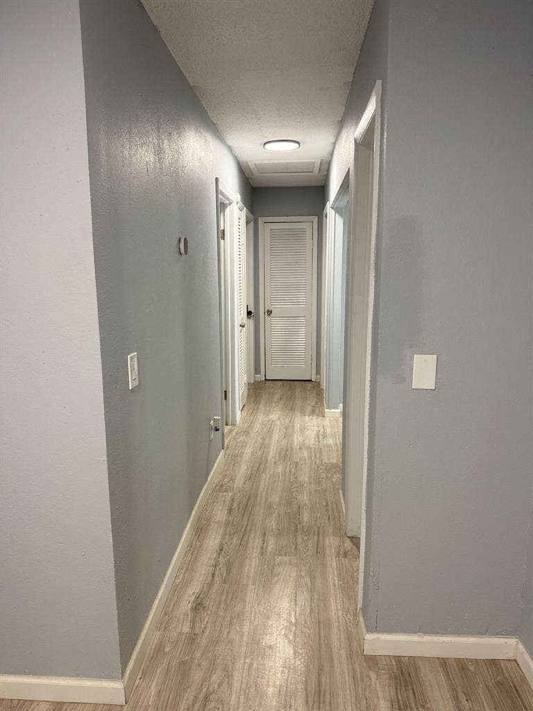 13 BR in Tampa