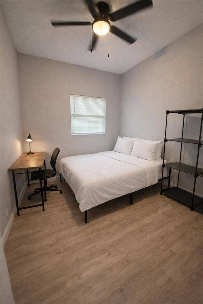 13 BR in Tampa