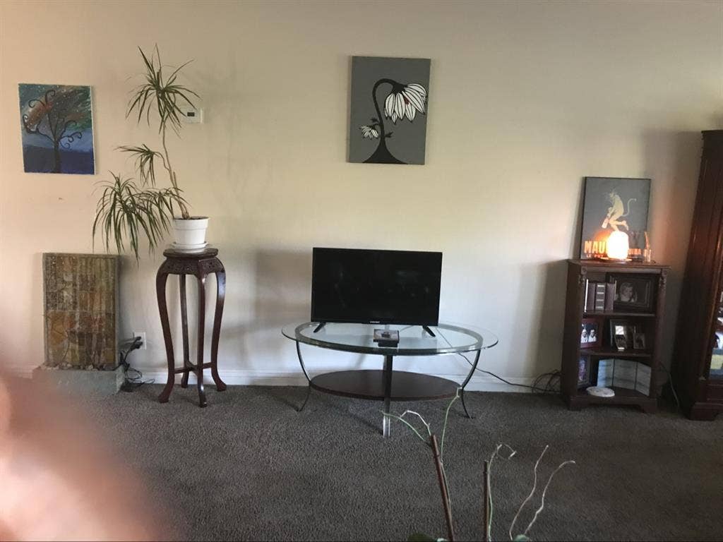 Cozy pond room furnished