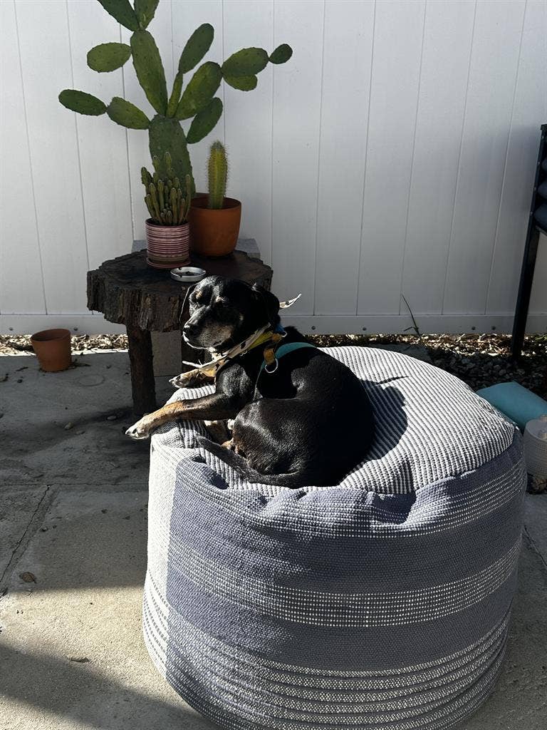 Room in lovely Pasadena home