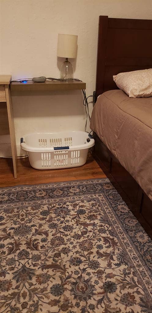 Room for Rent $pm