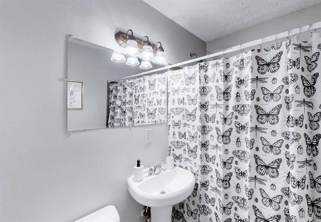 7 BR in Forest Park