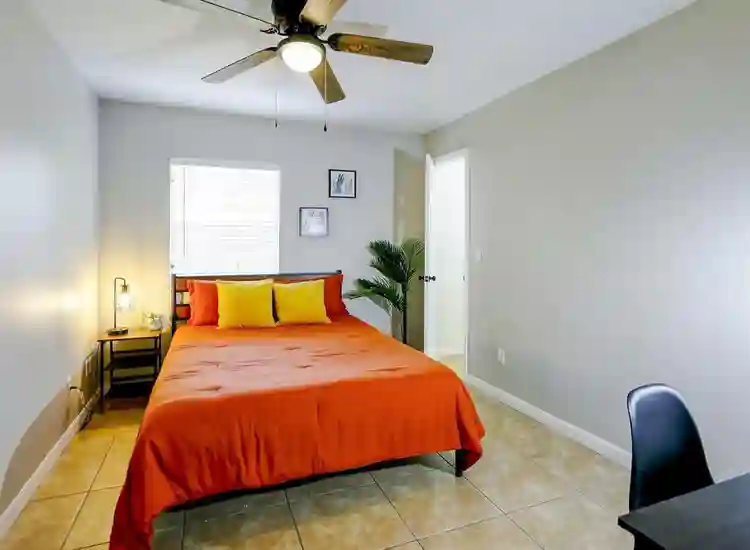 7 BR in Tampa