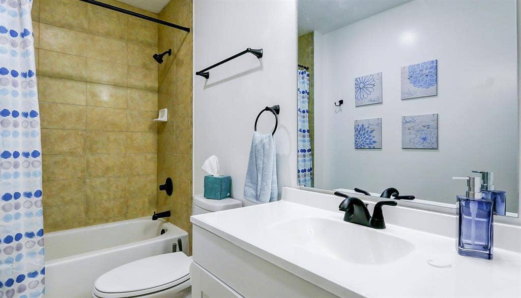 7 BR in Tampa