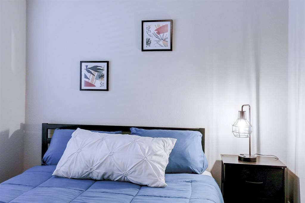 7 BR in Tampa