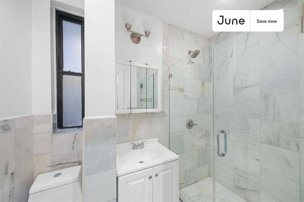 1 BR in New York City