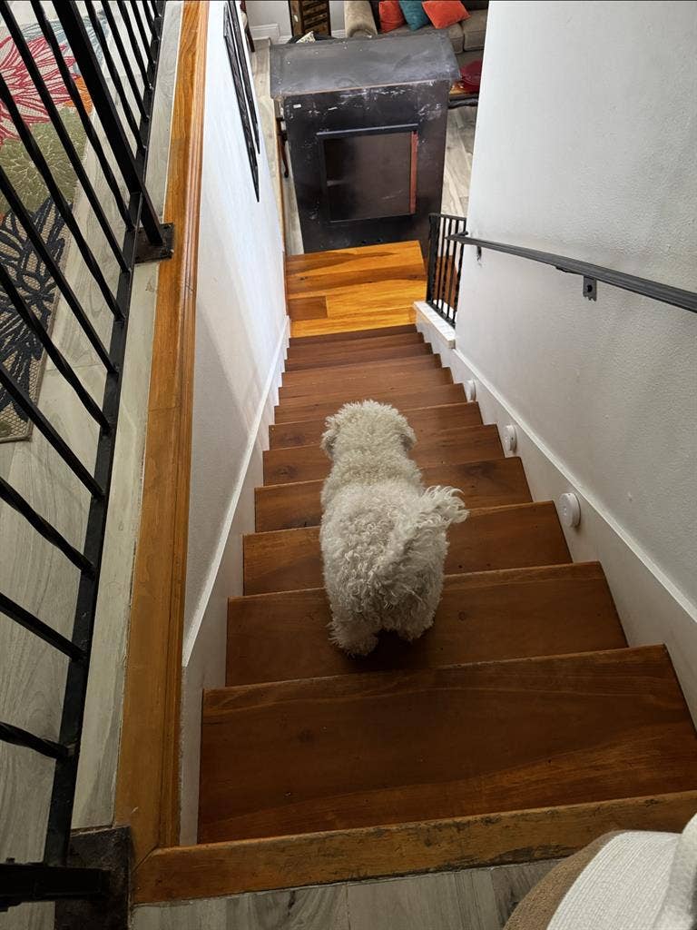 Beautiful and quiet neighborhood