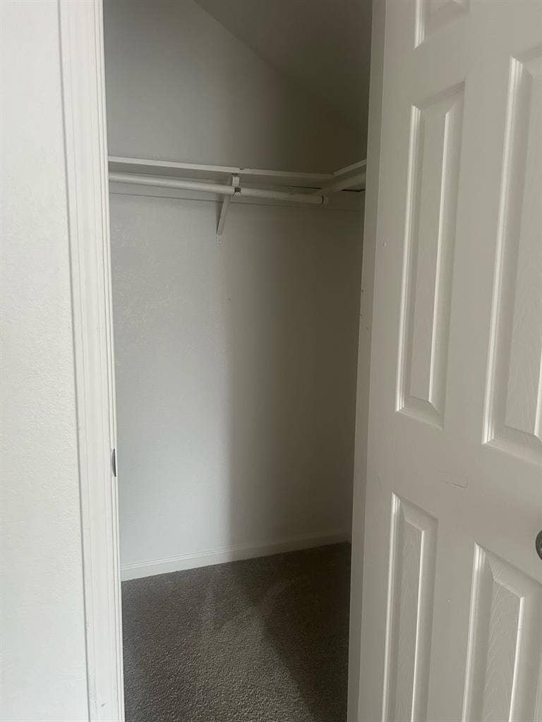 Need a roomate 