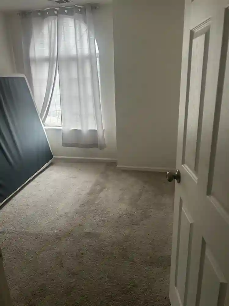 Need a roomate